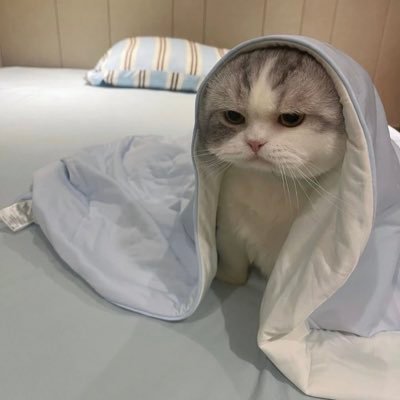 ririatyan's profile picture. 大学生なりましたわーい２０歳🙌