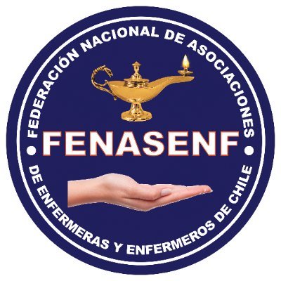 Federación Nacional de Asociaciones de Enfermeras y Enfermeros de Chile • Representamos a 13 mil profesionales a lo largo del país 🩺