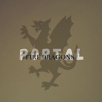 Portal Fire Dragons Profile