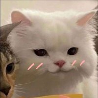 rahma (@snowmacchiato) 's Twitter Profile