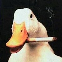 goose (@goodgoosego) 's Twitter Profile
