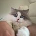 a1255120564 (@a1255120564) Twitter profile photo a1255120564 (@a1255120564) Twitter profile photo