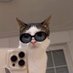 little bean (@sof00002) Twitter profile photo little bean (@sof00002) Twitter profile photo