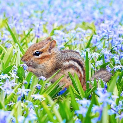 戸塚長沼霊苑(神奈川県横浜市栄区の霊園・正安寺運営)の公式アカウントです🐿゙🌱/ ぽぽちゃん🧸🌻(@hiro1024)が運用しています。DMは読みませんので悪しからず…。よろしくお願いします🙏