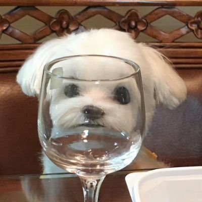 sunny644986's profile picture. 