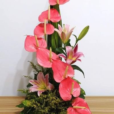 FranquilleSumi4's profile picture. 