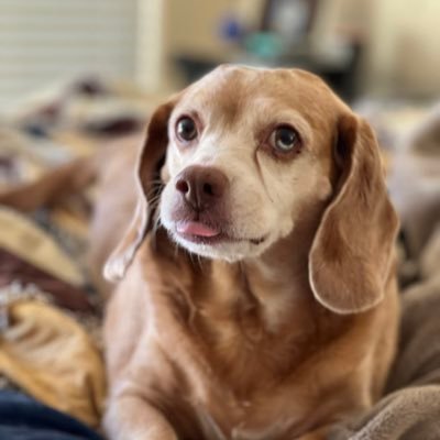 terri_leitch's profile picture. 304 girl. Christian.