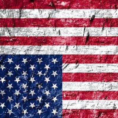 UltraFree4Ever's profile picture. Don’t follow people. Follow principle.🇺🇸

#PATRIOT #IFBAP #PUREBLOOD #MAGA #TRUMP2024
