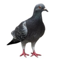 tom (@h2d748) 's Twitter Profile Photo tom (@h2d748) 's Twitter Profile Photo