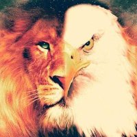 Stephen👑 (@stephenaa19) 's Twitter Profile