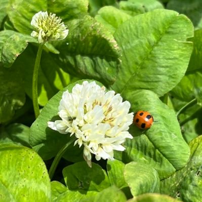 m_smile_123's profile picture. 