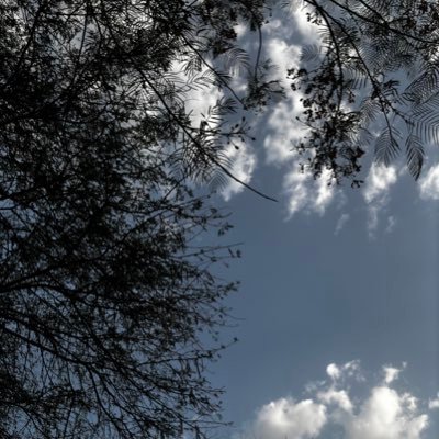 ApoorvM05541250's profile picture. peace🙏