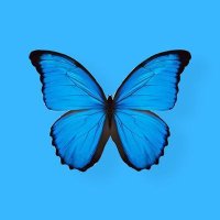 Garciana (@anagar_rod) 's Twitter Profile Photo Garciana (@anagar_rod) 's Twitter Profile Photo