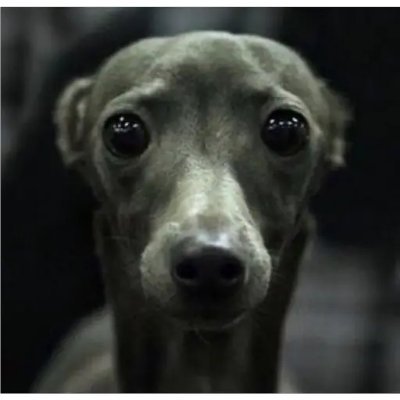 ssrssr114's profile picture. 