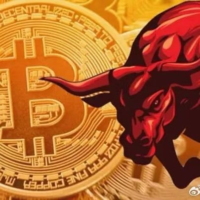 864311anwen's profile picture. 