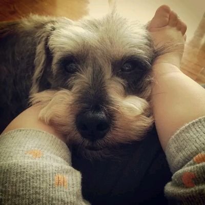 paolo13670794's profile picture. 