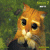 independent webstuff contractor, writer, mensan, liberal, diabetic