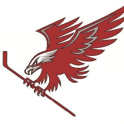 hawksgirlhockey's profile picture. Waltham High School Girls Hockey