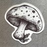 aManNamedAY's profile picture. 