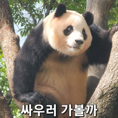 Save Fubao!!