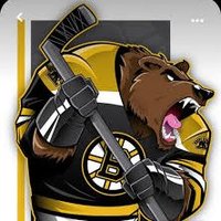 U17 Winnipeg Bruins (@hawksu15) 's Twitter Profile