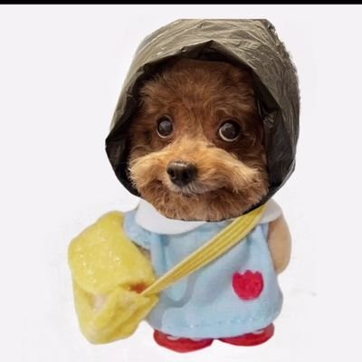 me gusta el picadillo y los fideos con salsa como a mi perro
