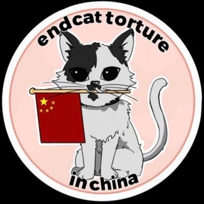 #StopChinaCatTorture #中国猫のSOS your voice and mine can help make compassionate changes for animals.
