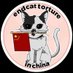๐จ๐ณ๐๐๐ค๐ค (@surfcatally) Twitter profile photo ๐จ๐ณ๐๐๐ค๐ค (@surfcatally) Twitter profile photo