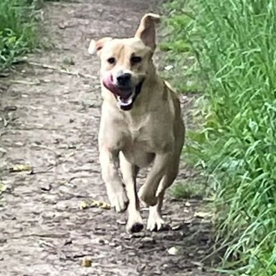 MightyStar77's profile picture. 