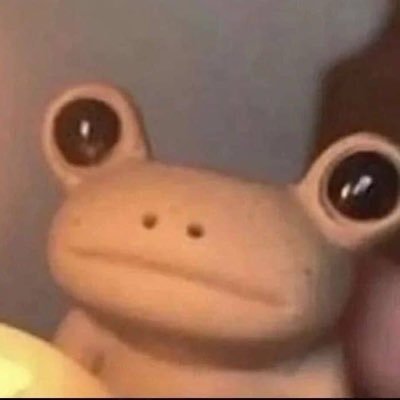 cattybud's profile picture. resident cool guy herpetologist | 25 | she/her