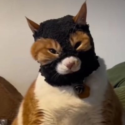 폭고さんのプロフィール画像