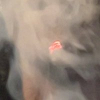 4sideBucks (@4sidebucks) 's Twitter Profile