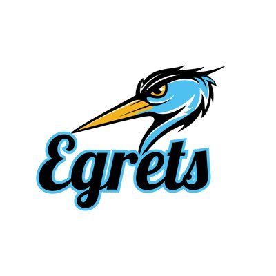 Egret's Pelican NFTs 🦩: Dive into a world of innovation & art! These unique digital collectibles are your gateway to a future of possibility 🚀. Join us!