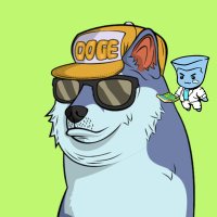 Dog Money (@stavcoco) 's Twitter Profile