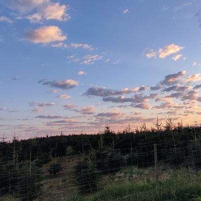 Bart3ms's profile picture. 