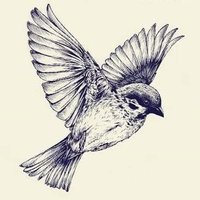 Uranium Enthusiast (@uraniumphile) 's Twitter Profile