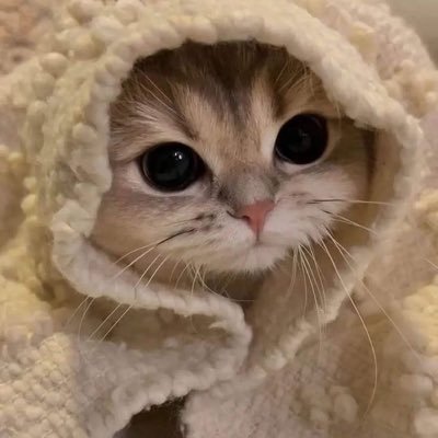 sayang jaemin jae changbin haechan! ˗ˋˏ ♡ ˎˊ˗ kadang suka oleng sana sini ⁽˙³˙⁾ | @sunfloooow_