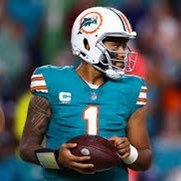 Sports fan of Miami Dolphins, San Jose Sharks, Sacramento Kings, San Jose Earthquake, Kyle Larson, Danny Lasoski, Team Alpha Male.