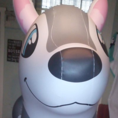 BounceHusky's profile picture. Just a collector of squeaks & plushies
