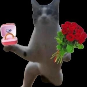 whmm95151471's profile picture. 循此苦旅