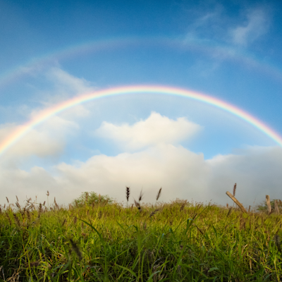 77vfyuKCdc72658's profile picture. 