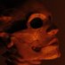 Retardead (@matthewh3765) Twitter profile photo Retardead (@matthewh3765) Twitter profile photo