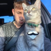 walte (@waltercstllo) 's Twitter Profile