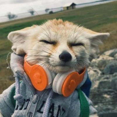 💦🌊🇵🇸✊
googledebunker
おてんば娘
はじめぶまして
魔女
エンター縛り
ひきこめび クソアマ
https://t.co/DaUeADKy4e
🜏 ⬆️➡️⬇️⬇️⬇️
(They/them/sí/siad/sionnach)
🔞