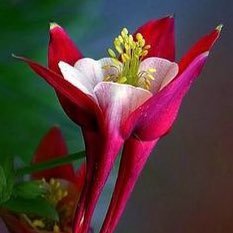 eid_71's profile picture. لاإله إلا الله وحده لاشريك له واشهد ان محمد رسول الله