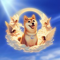 Based Kabosu (@kabosubase_) 's Twitter Profile