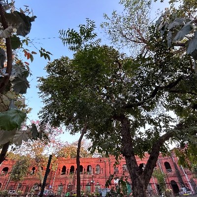 SimranKohliRai1's profile picture. 