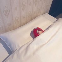たく🍋 (@_0626_0724) 's Twitter Profile