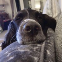 Alison Philpott (@alison_merry1) 's Twitter Profile Photo Alison Philpott (@alison_merry1) 's Twitter Profile Photo