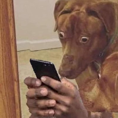 hsienhsien11's profile picture. 